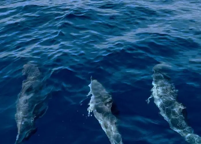 Beautiful 4 Bedroom House With Phenomenal Golf And Mountain Views San Miguel de Abona